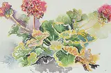 Dora Helen Mackie, Untitled - Spring Bouquet
