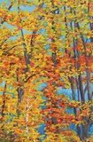 Martha Markowsky, Gatineau Fall, 1983, acrylic on canvas board