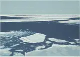 Gordon A. Smith, N.S. I #35/55, 1978, colour silkscreen on paper