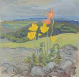 John Davenall Turner, Untitled - Early Poppies