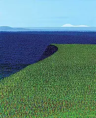 Ivan Eyre, Field Drop, 2000, acrylic on canvas