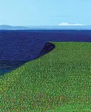 Ivan Eyre, Field Drop, 2000, acrylic on canvas
