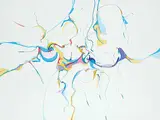Alex Janvier, Who Will Listen