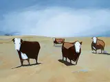 Scott MacKenzie, Cows, 2017, acrylic on canvas