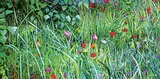 Eltje H. Degenhart, Into the Light, 2004, acrylic on canvas