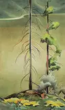 Janet Holly Middleton, Untitled - Tete Jeune, watercolour on paper