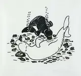 Peter Morgan, White Whale Nursing Her Baby #13/50, 1978, stonecut on paper