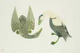Kananginak Pootoogook, Eider Ducks #15/60, 1978, colour lithograph on paper