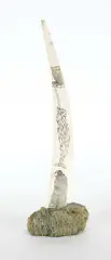 Niyekak Quimmapiq, Untitled - Artic Adventure, 1980, scrimshaw bone and stone carving
