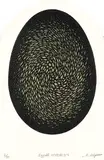 Koichi Kiyono, Eggcell D-4 #2/30, colour etching on paper