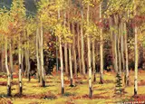 Matt Lindstrom, Untitled - Poplar Groves