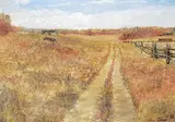 Allen Sapp, Seed Drill on Albert Soonia's Farm