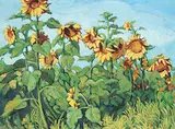 Margaret Shelton, Sunflowers