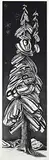 Lawrence Paul Yuxweluptun, Tree Study #9/30, 2009, etching on paper