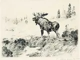 Carl Rungius, Morning Mist, 1925, etching on paper