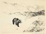 Carl Rungius, An Old Prospector, 1925, etching on paper