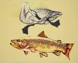Jack Lee Cowin, De Puy's Spring Creek [Western Trout Series] #2/10 Second State, 1980, colour lithograph on paper
