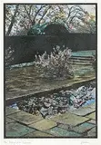 Jennifer Dickson, Drifting Petals, Penshurst #20/30, colour etching on paper
