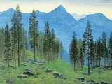 James Stanford Perrott, Untitled - Tree Corridor