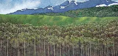 Deborah Lougheed Sinclair, Saddle Mountain Spring, 1978, acrylic on canvas