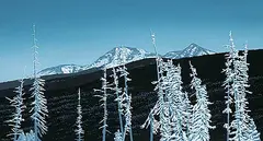 J. Thomas Hinton, Frosty Morning, Storm Mountain, gouache on paper