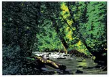 J. Thomas Hinton, Fall/Healy Creek #3/8 AP, 1992, colour silkscreen on paper