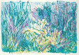 Sandra Rochelle Altwerger, Shorling Grass #11/38, colour lithograph on paper