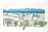 David Denyse, Star Round-Up #16/25, 1979, colour lithograph on paper