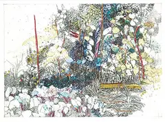 Susan Ford, In the Garden #9/10, colour etching on paper