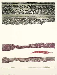 Sheila Maki, Atmospheric Rhythm #A/P, 1976, colour etching and embossing on paper