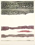 Sheila Maki, Atmospheric Rhythm #A/P, 1976, colour etching and embossing on paper