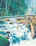 David John More, Untitled - Forest Cascade