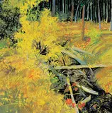 David John More, Forest Foothills - Autumn Stream