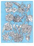 James McLaren Nicoll, Flowers #26/35, 1979, colour etching on paper