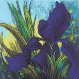 Robbin Yager, Siberica #9/9, 1997, colour etching on paper