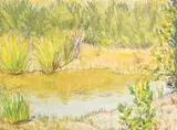 Elizabeth Lovitt Cann, Untitled - The Pond, watercolour on paper