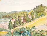 Elizabeth Lovitt Cann, Untitled - Hillside, watercolour on paper