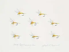 Jack Lee Cowin, Study - Pale Evening Dun, 1985, watercolour on paper