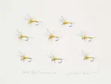 Jack Lee Cowin, Study - Pale Evening Dun, 1985, watercolour on paper