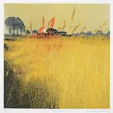 Phil Greenwood, Fire Reeds #59/150, 1976, colour etching on paper