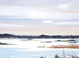 Hans Herold, Frozen Swamp, 1981, acrylic on canvas