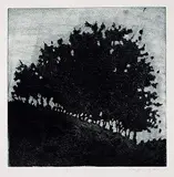 Stephen Hutchings, Bush [4/23] #A/P, etching on paper