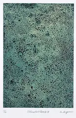 Koichi Kiyono, Chloroplast IV #11/20, colour etching on paper