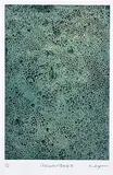 Koichi Kiyono, Chloroplast IV #11/20, colour etching on paper