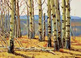 Matt Lindstrom, Untitled - Birch Group
