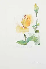 Opening Rose and Right by Robert William Sinclair, 1982, watercolour on paper, sold May 2020
