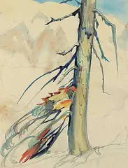Ina D.D. Uhthoff, Untitled - Tree Study, watercolour on paper
