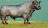 Untitled - Grey Bull by Harry Karl-Heinz Wohlfarth, 1975, tempera on wood board, sold May 2020