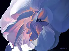 Don Berger, Untitled - Lily, 2001, oil on canvas