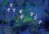 Annora Brown, Untitled - Floral Fantasy